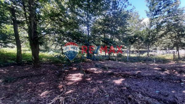 Terreno en Lugar As Touzosas, 83