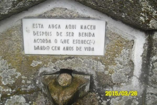 Terreno en barrio festin, 27