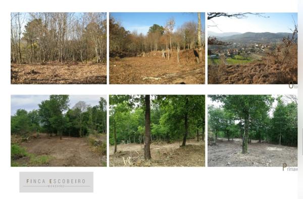 Terreno en Lugar de escobeiro