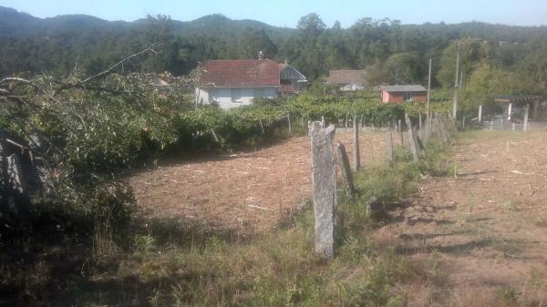 Terreno en Cp-9002, 10