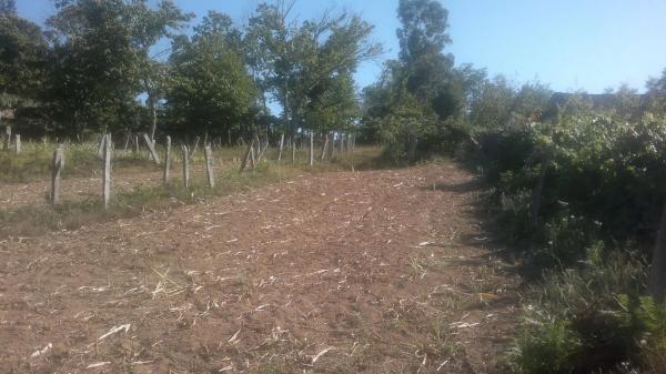 Terreno en Cp-9002, 10