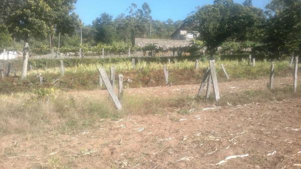 Terreno en Cp-9002, 10