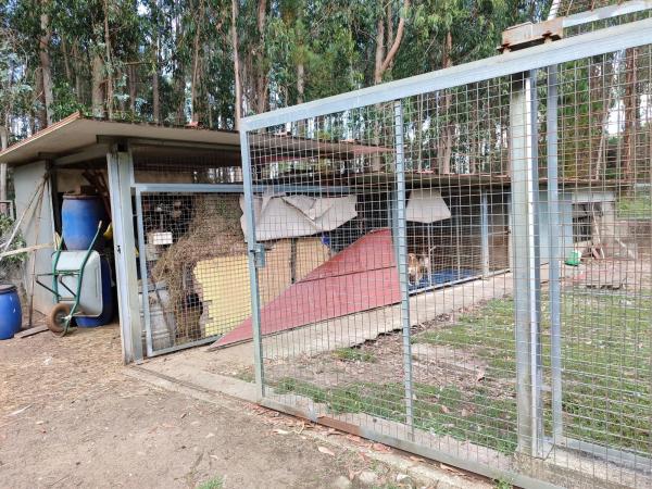 Terreno en camino Anllada carretera Cuntis La