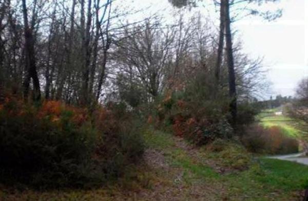 Terreno en camino Lugar Rigueira s/n