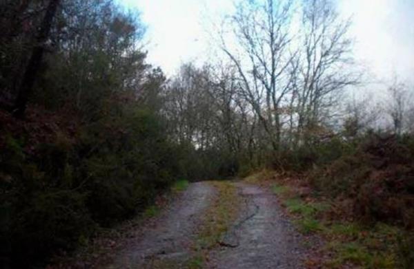 Terreno en camino Lugar Rigueira s/n