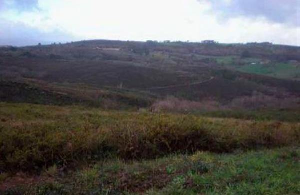 Terreno en camino Lugar Rigueira s/n