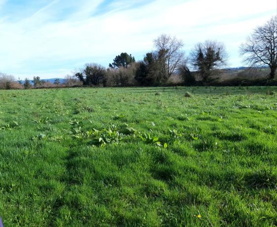 Terreno en Bermés, 206 Po