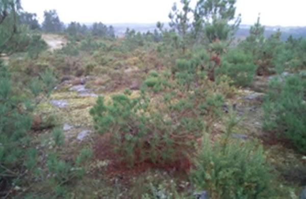 Terreno en Lamas de Cadron