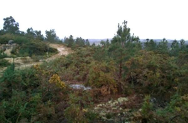 Terreno en Lamas de Cadron