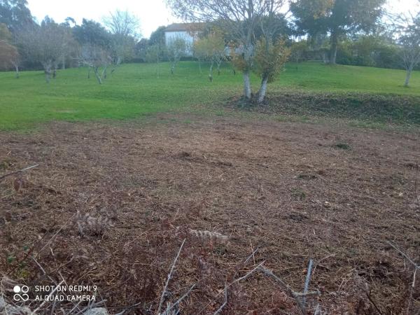 Terreno en Lgar Iglesia, Sta. Xusta s/n Sinnumero