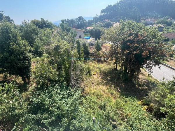 Terreno en camino de Herbello a Magdalena