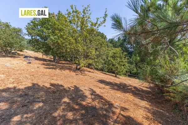 Terreno en camino de Herbello a Magdalena