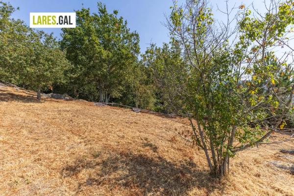 Terreno en camino de Herbello a Magdalena