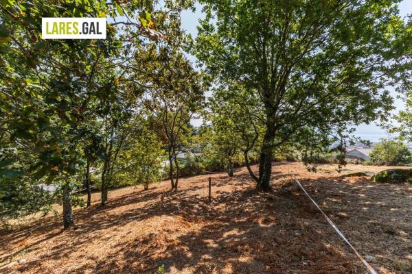 Terreno en camino de Herbello a Magdalena