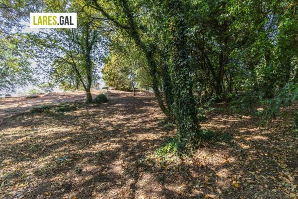 Terreno en camino de Herbello a Magdalena