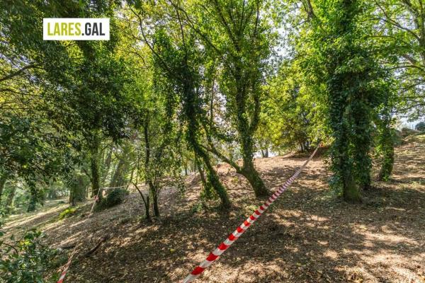 Terreno en camino de Herbello a Magdalena