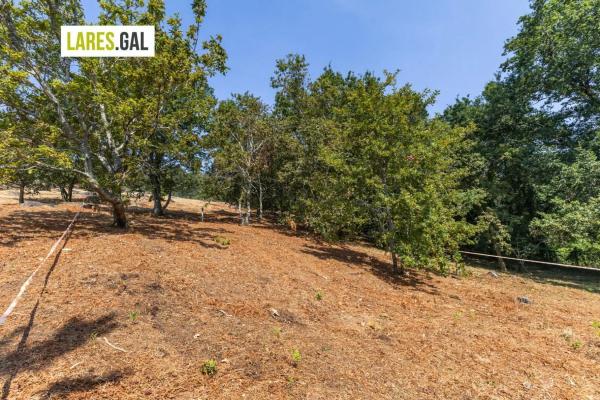 Terreno en camino de Herbello a Magdalena