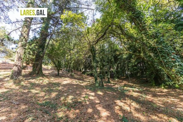 Terreno en camino de Herbello a Magdalena