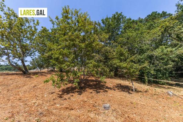 Terreno en camino de Herbello a Magdalena