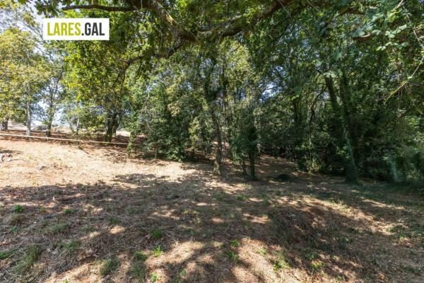 Terreno en camino de Herbello a Magdalena