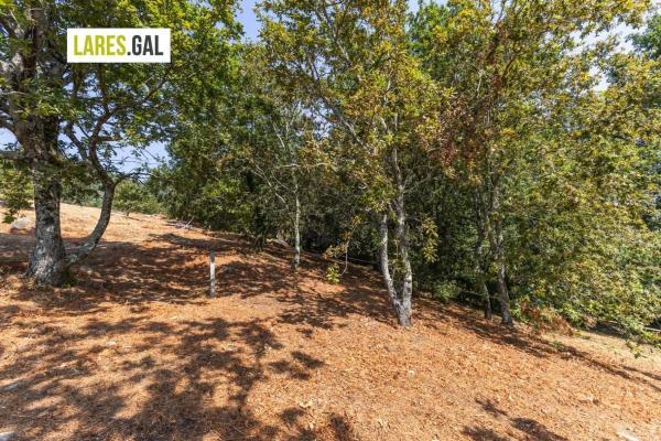 Terreno en camino de Herbello a Magdalena