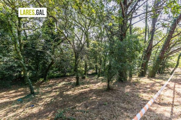 Terreno en camino de Herbello a Magdalena