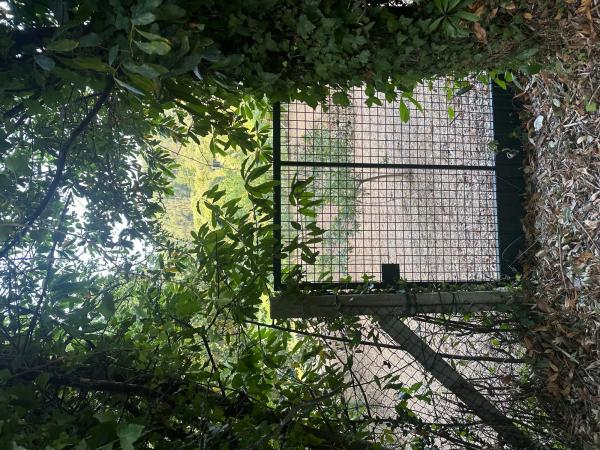 Terreno en sar s/n sinnumero