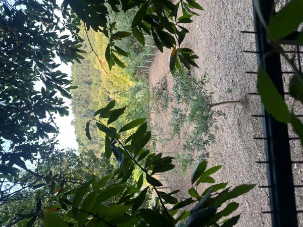 Terreno en sar s/n sinnumero