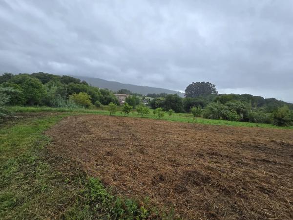 Terreno en camino Sen Nome