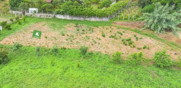 Terreno en camino Sen Nome