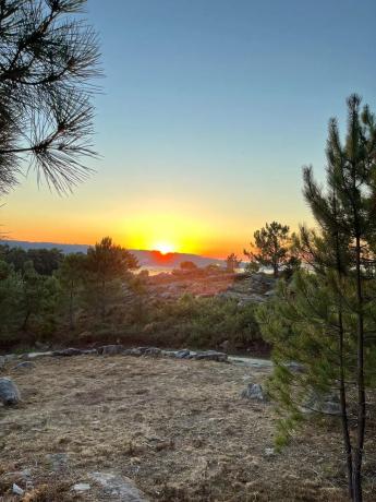 Terreno en calle dos Moscallos, 2