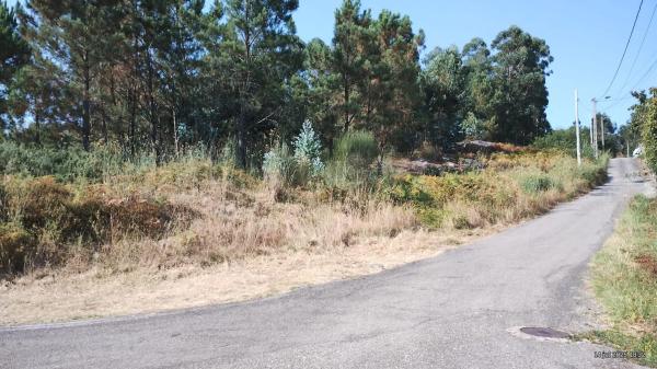 Terreno en calle dos Moscallos, 2