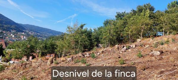 Terreno en calle Moledo, 96