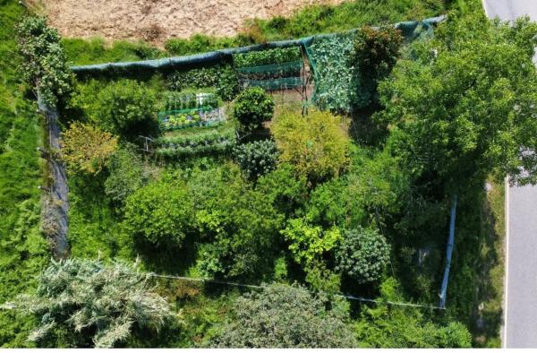 Terreno en Os Piñeiros, 1 Lugarospieiros