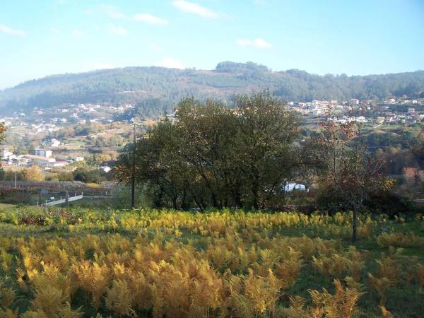 Terreno en o Beloso s/n