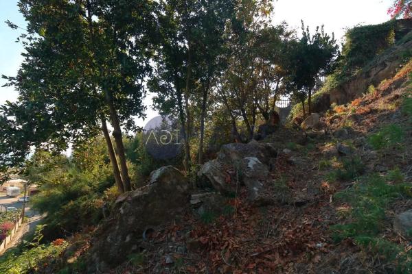 Terreno en Baixada a Areamilla, 29