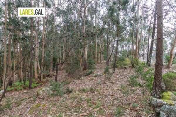 Terreno en calle do Casas