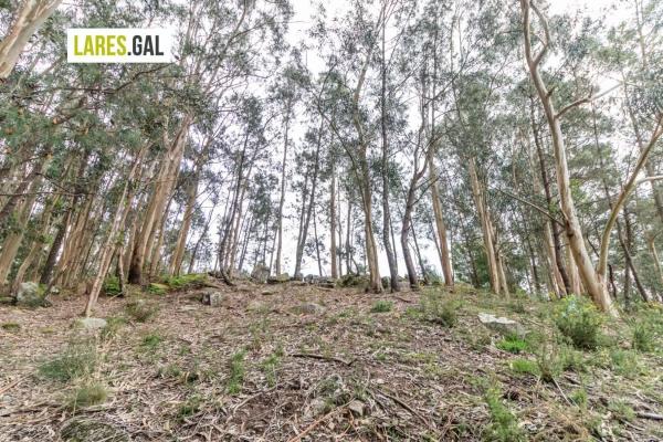 Terreno en calle do Casas