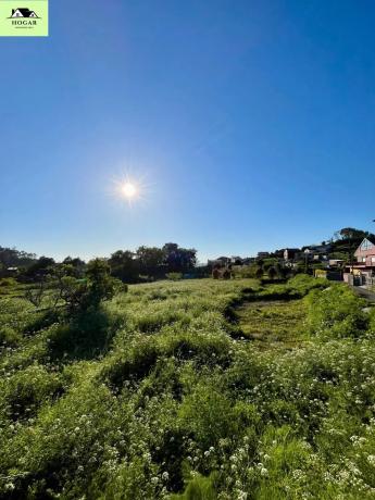 Terreno en avenida del Aviador Calviño