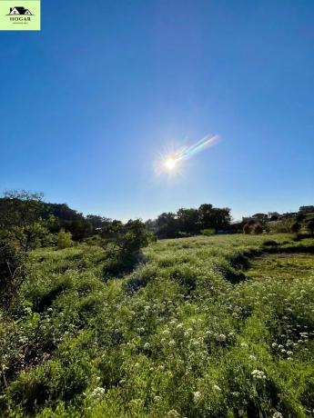 Terreno en avenida del Aviador Calviño