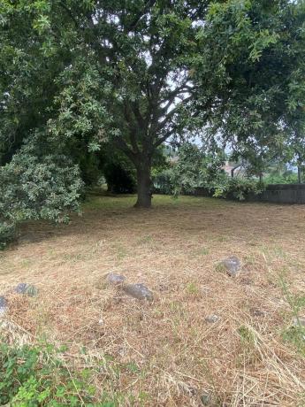 Terreno en camino da Area s/n