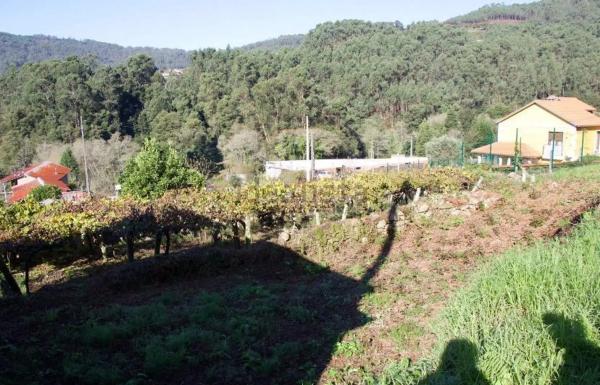 Terreno en calle Reibón