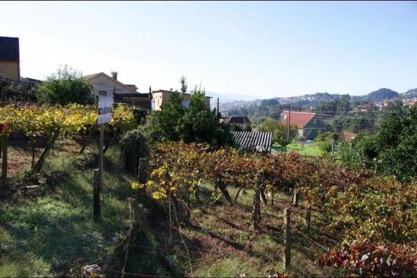 Terreno en calle Reibón