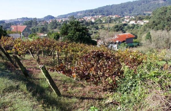 Terreno en calle Reibón