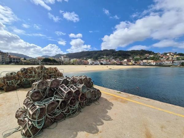 Terreno en o Burgo s/n