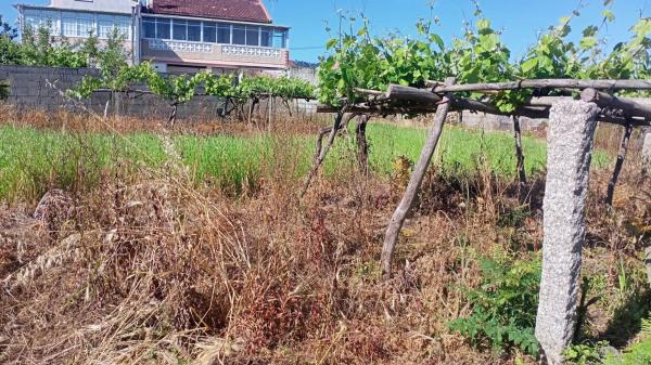 Terreno en Lugar Viñas Blancas, 18