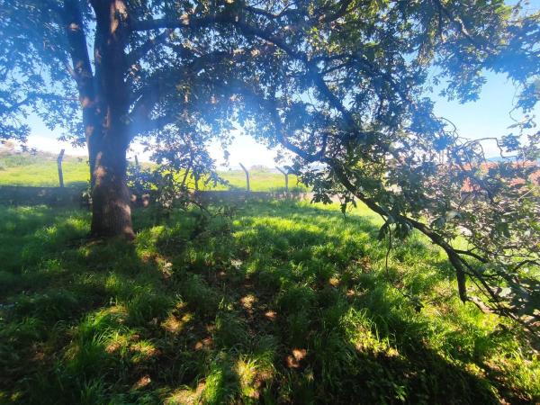 Terreno en calle Cimadevila s/n