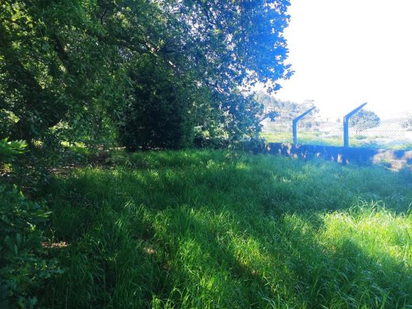 Terreno en calle Cimadevila s/n