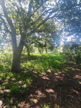 Terreno en calle Cimadevila s/n