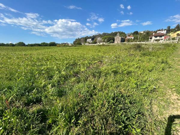 Terreno en Vg-4.4 s/n